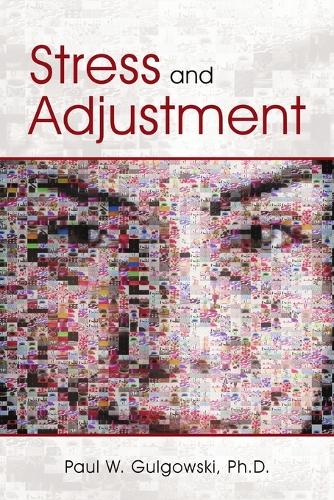 Stress and Adjustment (Paperback)
