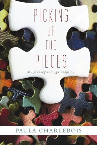 Picking Up the Pieces: My Journey Through Adoption (Paperback)