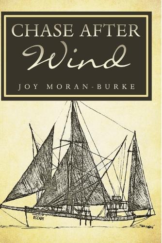 Chase After Wind (Paperback)