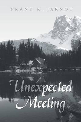 Unexpected Meeting (Paperback)