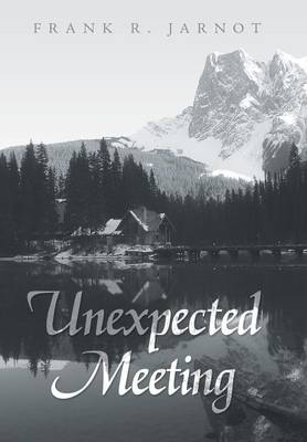 Unexpected Meeting (Hardback)