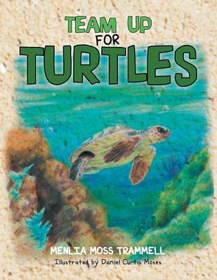 Team Up for Turtles (Paperback)