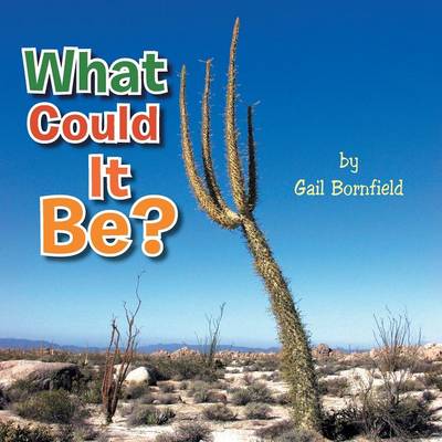 What Could It Be? (Paperback)