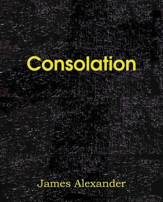 Consolation (Paperback)