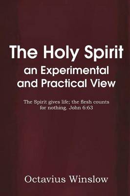 The Holy Spirit an Experimental and Practical View (Paperback)