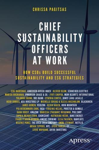 Chief Sustainability Officers At Work: How CSOs Build Successful Sustainability and ESG Strategies (Paperback)