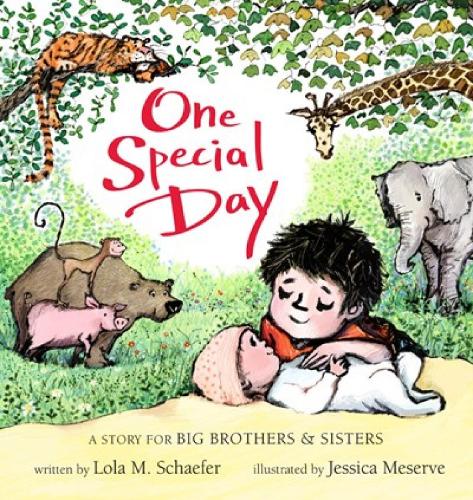 One Special Day: A Story for Big Brothers and Sisters (Board book)
