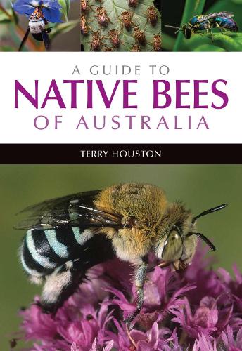 A Guide to Native Bees of Australia (Paperback)