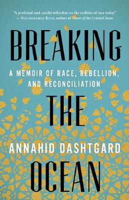 Breaking the Ocean: Race, Rebellion, and Reconciliation (Paperback)