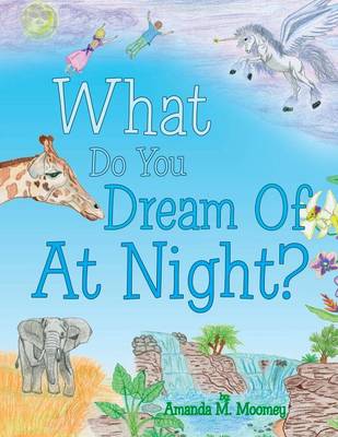 What Do You Dream of at Night? (Paperback)