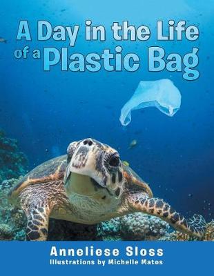 A Day in the Life of a Plastic Bag (Paperback)