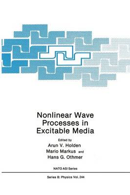 Nonlinear Wave Processes in Excitable Media - NATO Science Series B 244 (Paperback)