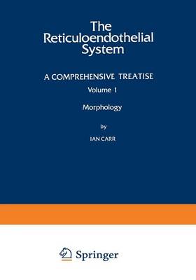 Morphology (Paperback)
