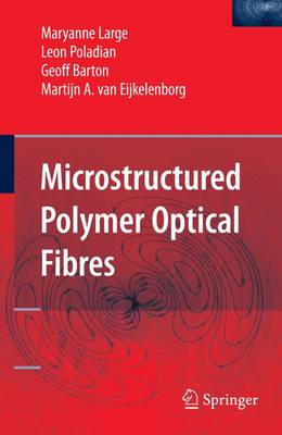 Microstructured Polymer Optical Fibres (Paperback)