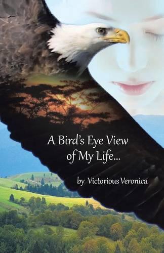 A Bird's Eye View of My Life (Paperback)
