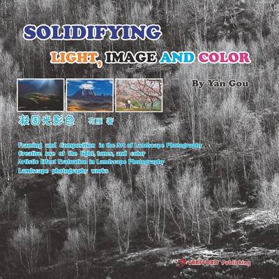 Solidifying Light, Image and Color (Paperback)