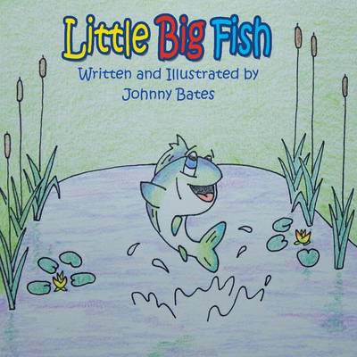 Little Big Fish (Paperback)