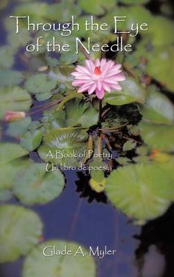 Through the Eye of the Needle: A Book of Poetry (Hardback)