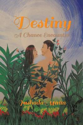 Destiny: A Chance Encounter (Paperback)