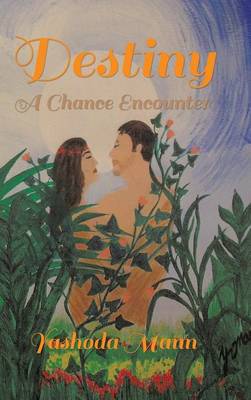 Destiny: A Chance Encounter (Hardback)