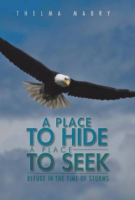 A Place to Hide a Place to Seek: Refuge in the Time of Storms (Hardback)