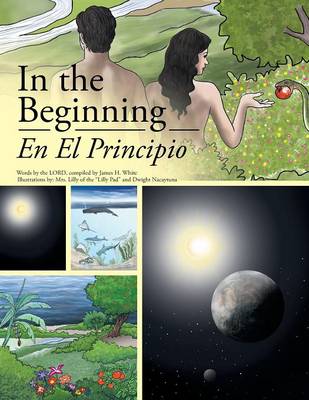 In the Beginning (Paperback)