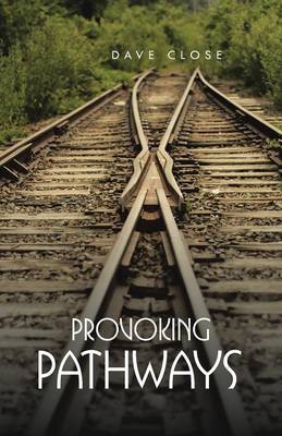 Provoking Pathways (Paperback)