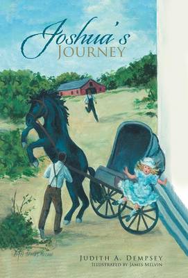 Joshua's Journey (Hardback)