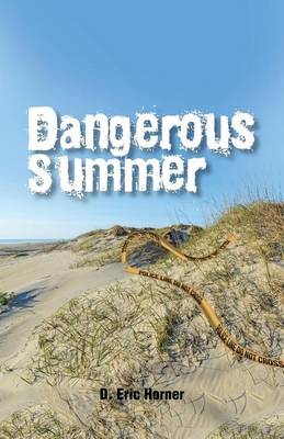Dangerous Summer (Paperback)