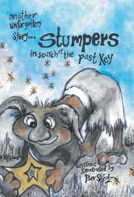Stumpers: In Search of the Past Key (Hardback)