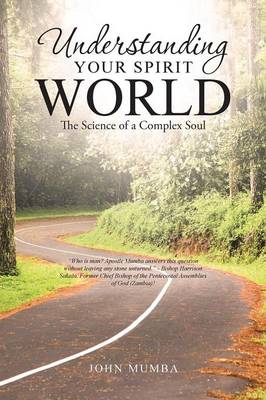 Understanding Your Spirit World: The Science of a Complex Soul (Paperback)