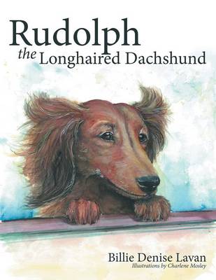 Rudolph the Longhaired Dachshund (Paperback)