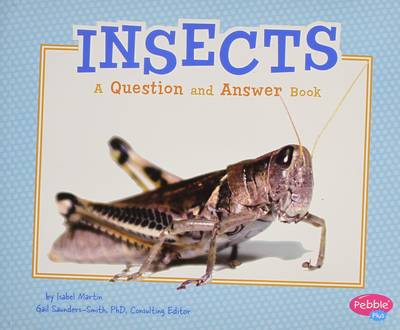 Insects: A Question and Answer Book (Paperback)