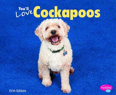 You'll Love Cockapoos - Designer Dogs (Paperback)