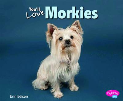 You'll Love Morkies - Designer Dogs (Paperback)
