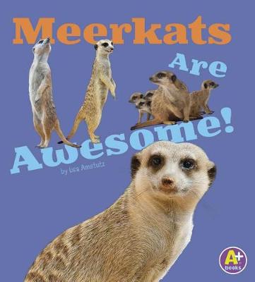 Meerkats Are Awesome! - Awesome African Animals (Paperback)