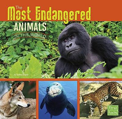 All About Animals: Most Endangered - All About Animals (Paperback)