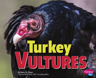 Turkey Vultures - Birds of Prey (Paperback)