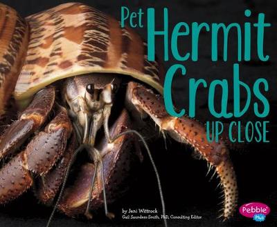 Pet Hermit Crabs Up Close - Pets Up Close (Paperback)
