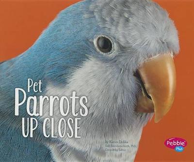 Pet Parrots Up Close - Pets Up Close (Paperback)