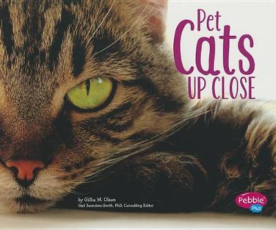 Pet Cats Up Close - Pets Up Close (Paperback)