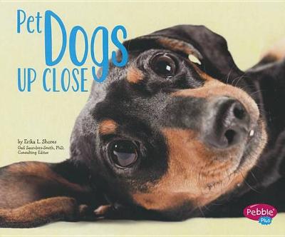 Pet Dogs Up Close - Pets Up Close (Paperback)