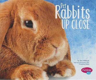 Pet Rabbits Up Close - Pets Up Close (Paperback)