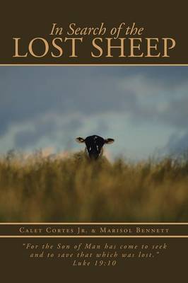 In Search of the Lost Sheep: For the Son of Man Has Come to Seek and to Save That Which Was Lost. Luke 19:10 (Paperback)