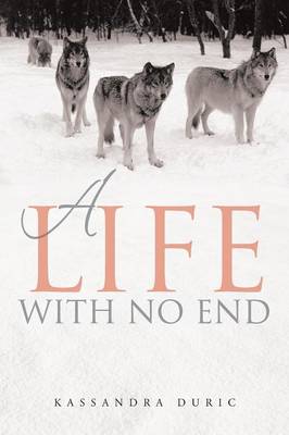 A Life with No End (Paperback)