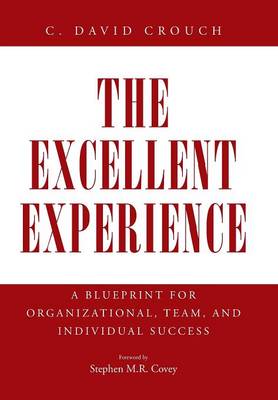 The Excellent Experience: A Blueprint for Organizational, Team, and Individual Success (Hardback)