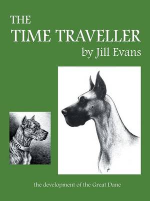 The Time Traveller (Paperback)