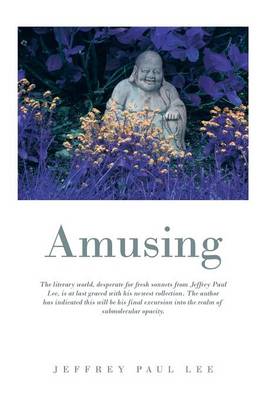 Amusing (Paperback)