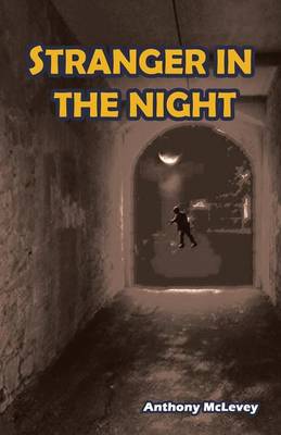 Stranger in the Night (Paperback)