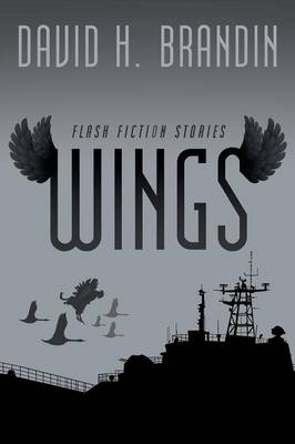 Wings: Flash Fiction Stories (Paperback)